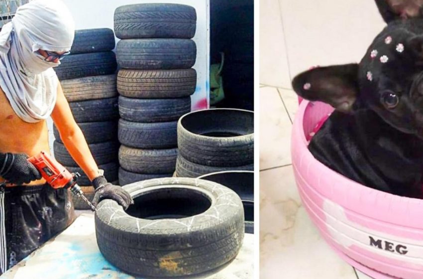  A young Brazilian collects old tires and turns them into pet beds