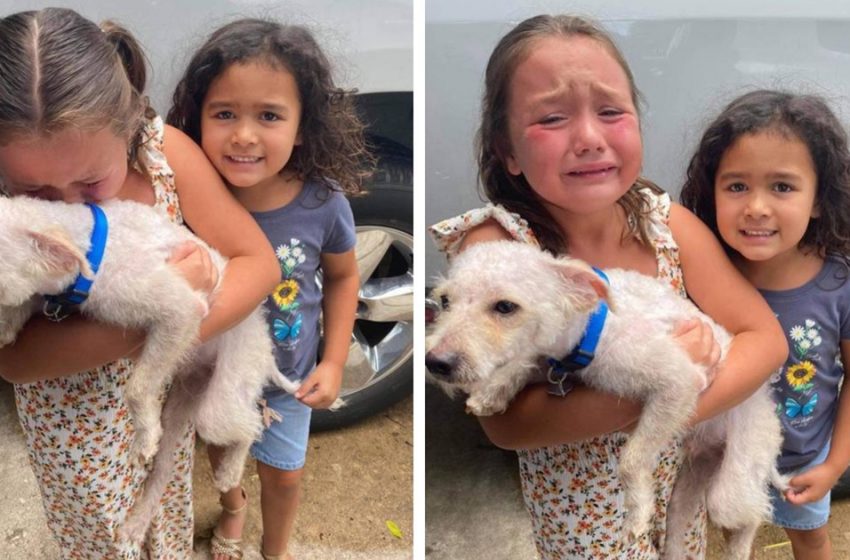  Little girls shed tears after meeting their lost pet