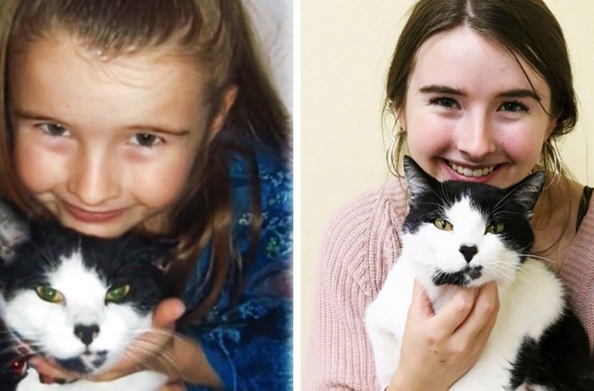  The girl thought her cat was gone until she got a job at the shelter.