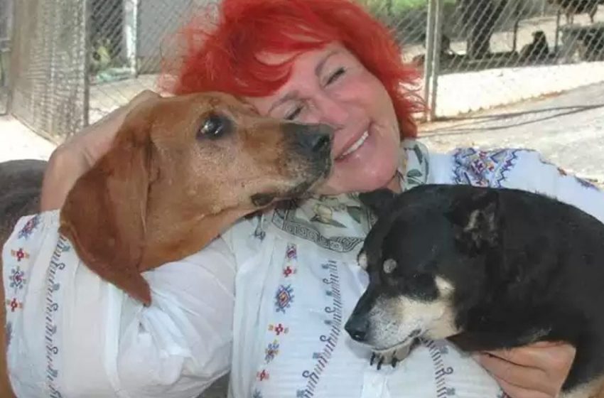  A shelter run by an individual rehomes 250 stray dogs in Costa Rica