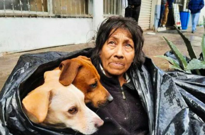  Homeless woman refused to leave the street so that not to leave her dogs