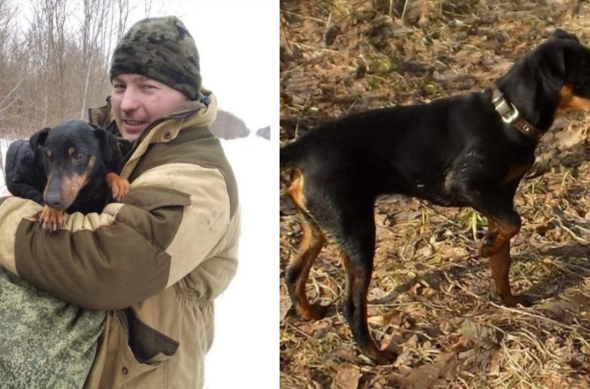  Un chasseur a passé six jours à chercher son chien dans des trous. Une histoire de sauvetage incroyable