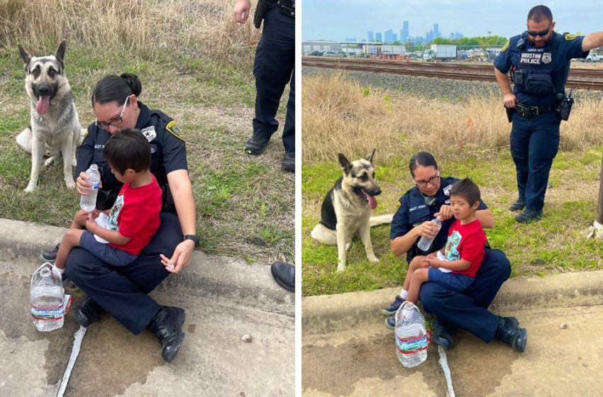  Un garçon trisomique disparu est retrouvé avec son chien fidèle qui le protège