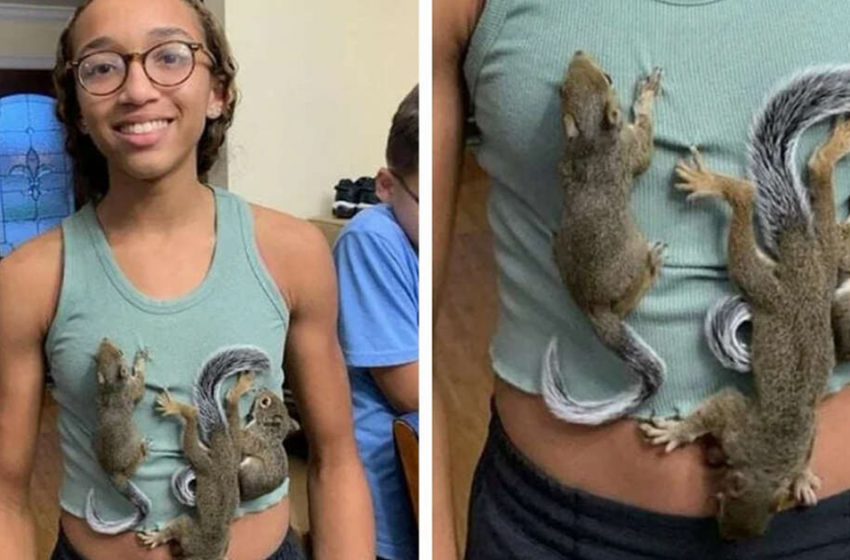  Une gentille adolescente sauve des écureuils orphelins au milieu de l’évacuation d’un ouragan