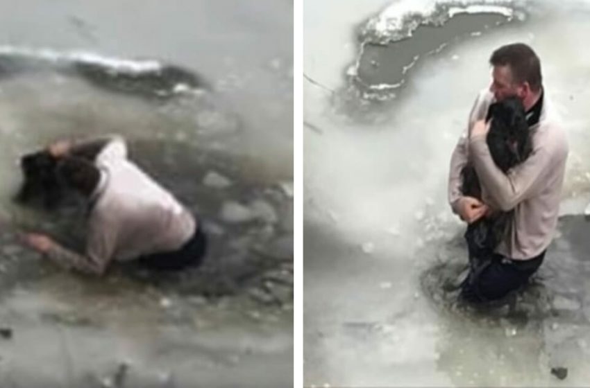  Un homme saute dans des eaux glacées pour sauver la vie de son chien