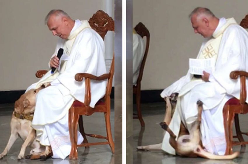  Un prêtre a la réaction la plus douce après qu’un visiteur surprise ait interrompu le service religieux