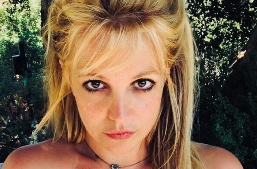  Ils sont beaux et grandis: des photos rares des fils adultes de Britney Spears discutées en ligne