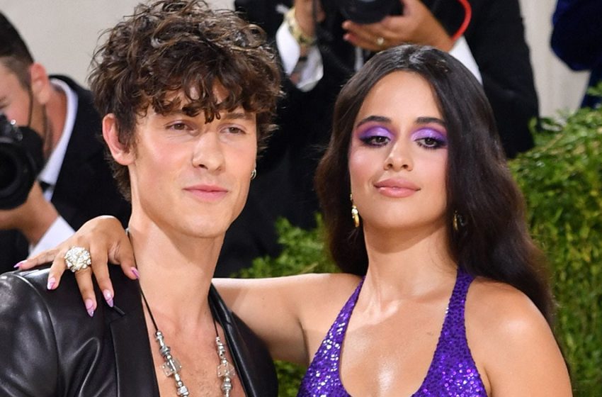  Il n’y a plus aucun doute : Camila Cabello et Shawn Mendes ont été aperçus lors d’une promenade romantique