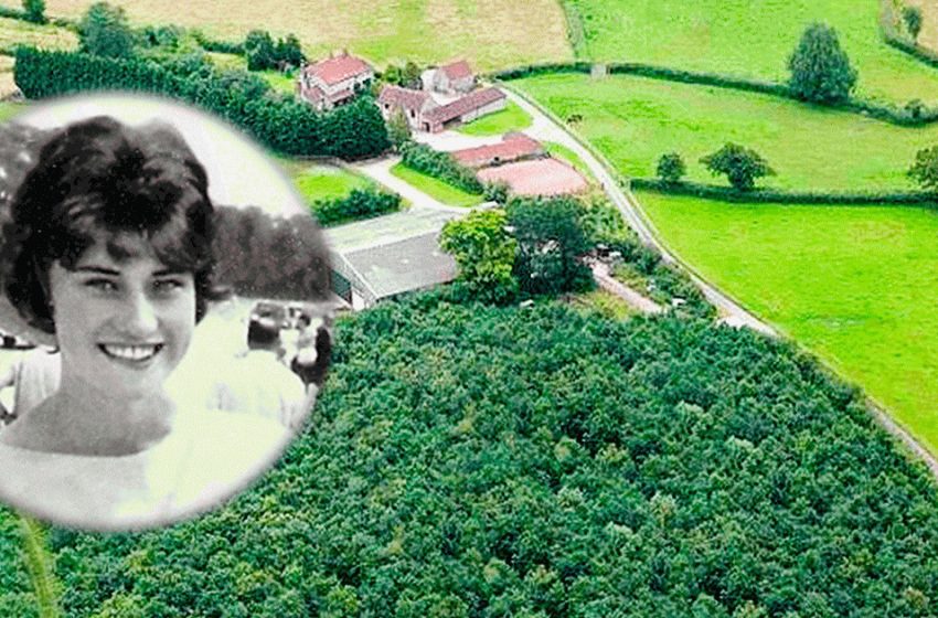  Après le départ de sa femme, il a planté 6 000 chênes autour de la maison. Ce n’est que 20 ans plus tard que tout le monde a compris pourquoi…