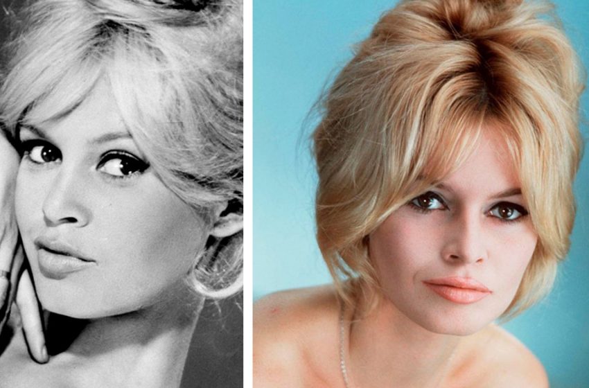  ‘Il faut vivre pour les petites choses’ : le style de vie actuel de la magnifique Brigitte Bardot