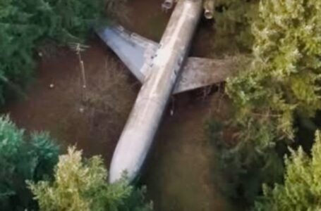 L’uomo che ha trasformato un vecchio aereo in una casa da sogno: l’interno ti lascerà senza parole!