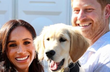Prinssi Harryn ja Meghan Marklen harvoin nähdyt lapset: “Upeat punapäät” – kuin ilmetty isänsä!