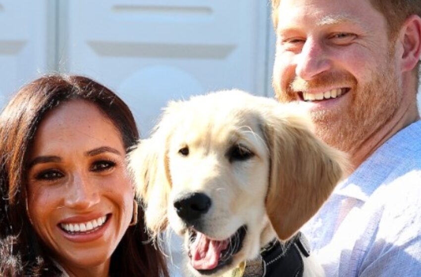 Prinssi Harryn ja Meghan Marklen harvoin nähdyt lapset: “Upeat punapäät” – kuin ilmetty isänsä!