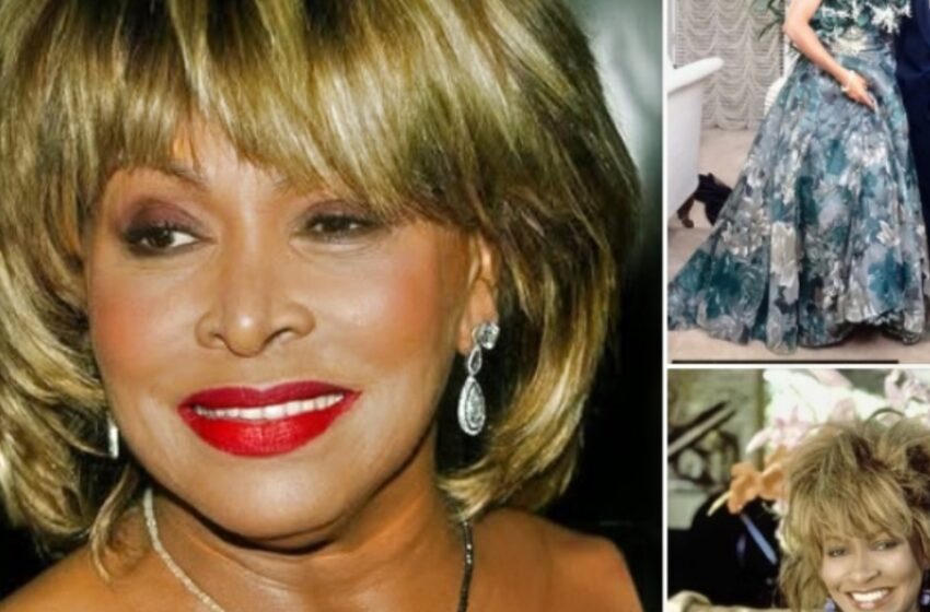  Tina Turner, 73, menee naimisiin toisen miehensä kanssa 25 vuoden yhdessäolon jälkeen!  Katso heidän upeat kuvansa!