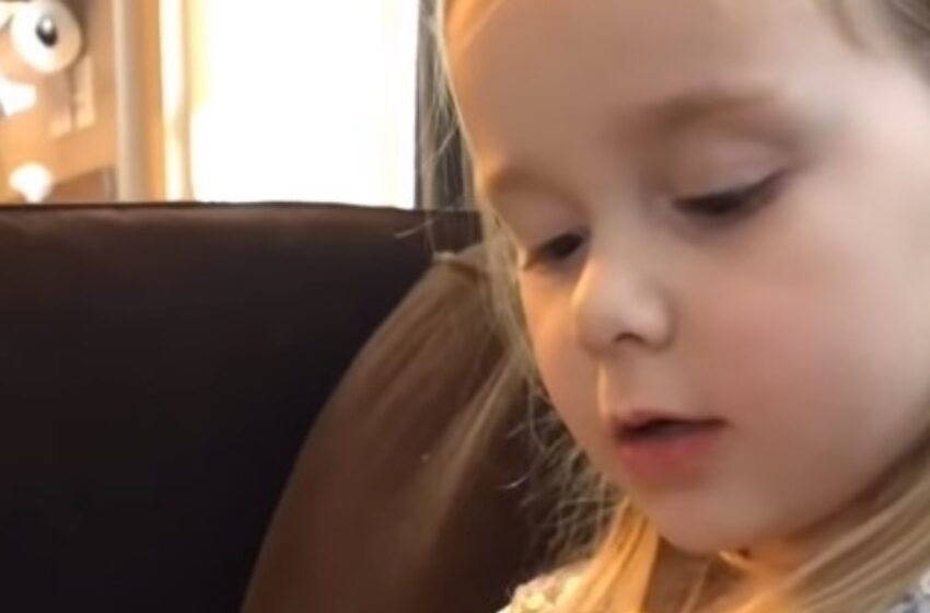Pieni tyttö laulaa ’You Are My Sunshine’ rakkaalle kissalleen tämän kuolinhetkellä – sydäntäsärkevä hyvästijättö!