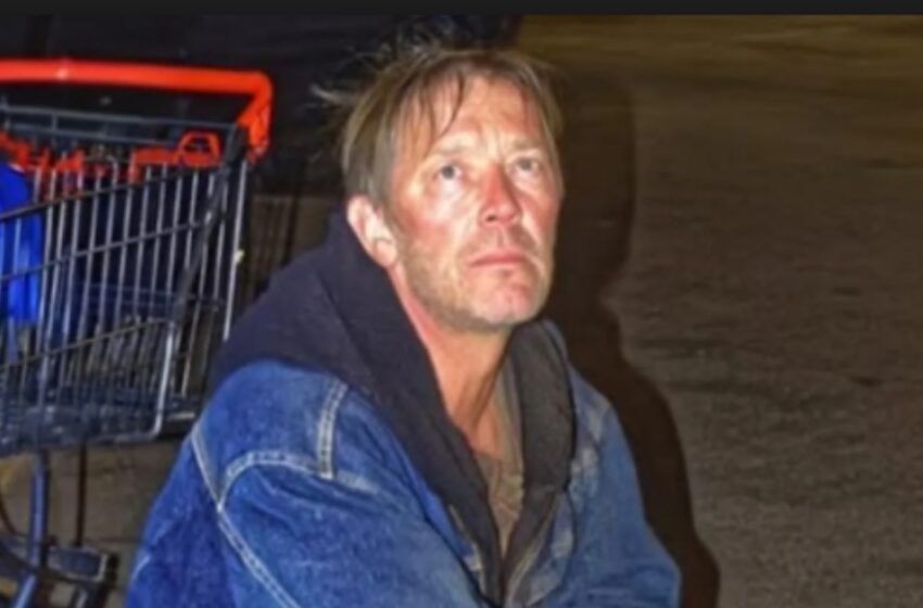  Autoin nälkäistä veteraania ja hänen koiraansa: kuukauden päästä pomoni tuli asian kanssa luokseni