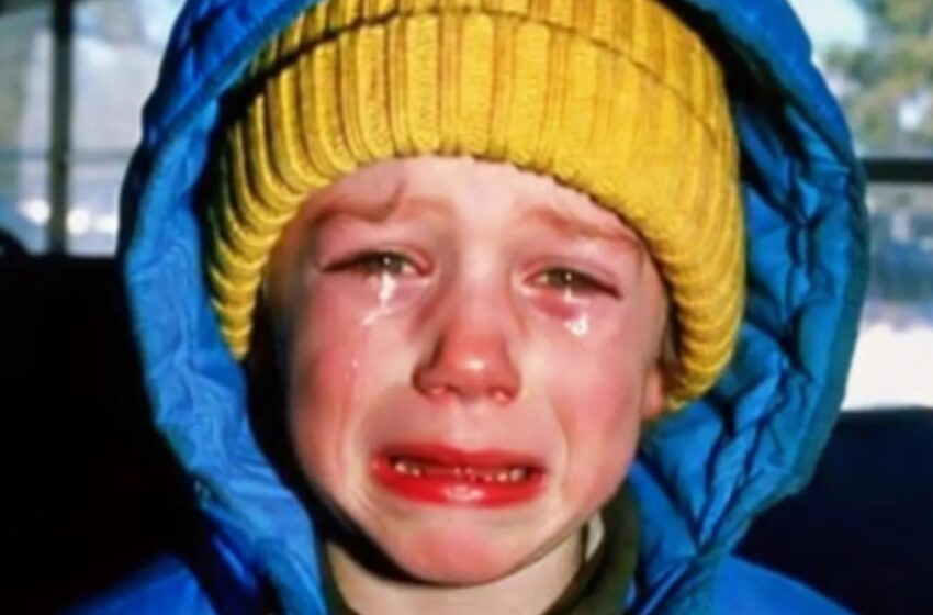  Näin pienen pojan itkevän koulubussissani! Mutta se, mitä näin hänen käsissään, sai minut sanattomaksi.