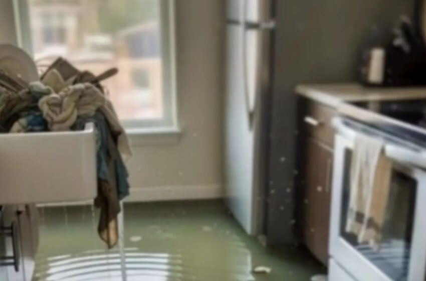  Raskaana oleva kälyni kostoksi tulvitti kotimme! Hän ei koskaan arvannut, mitä me teimme seuraavaksi